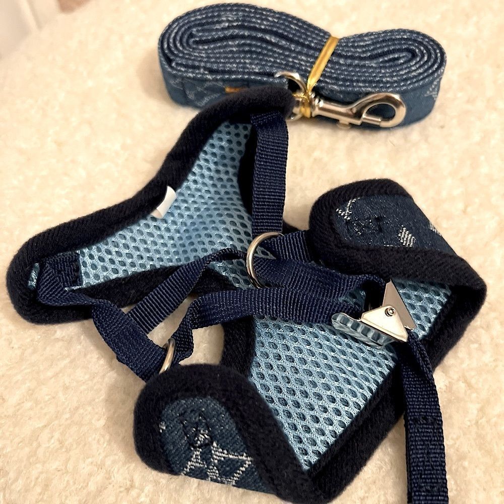 Stylish LV Doggie Harness Set - Picture 8 of 10